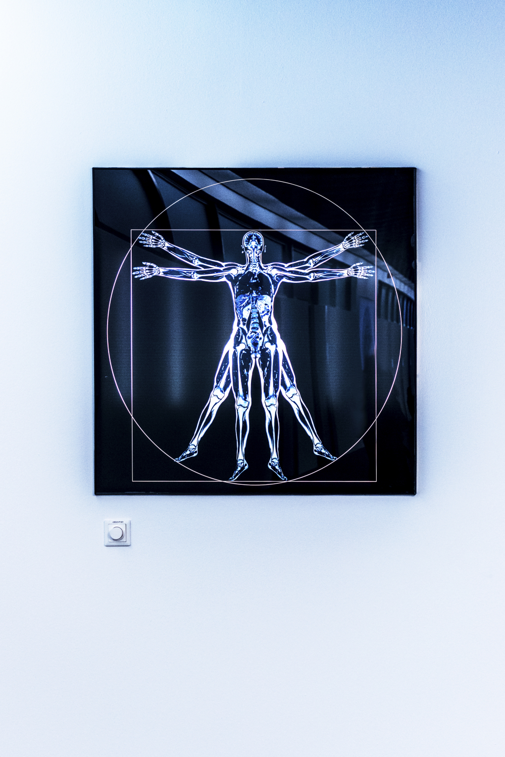 Vitruvian Lady: Ganzkörperscan  in Anlehnung an Leonardo da Vinci